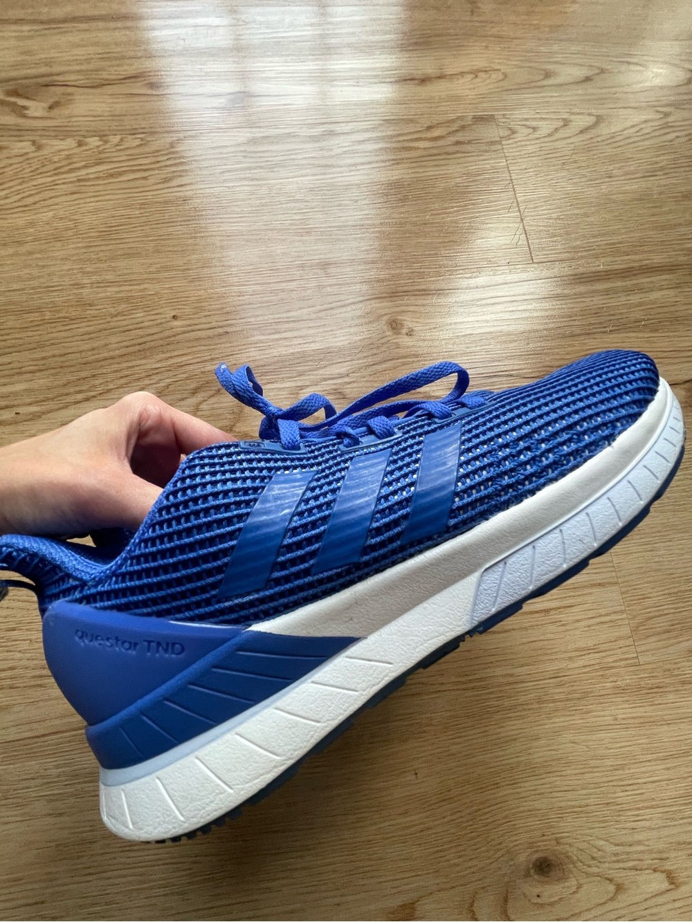 adidas Men’s Royal Blue Mesh Running Shoe